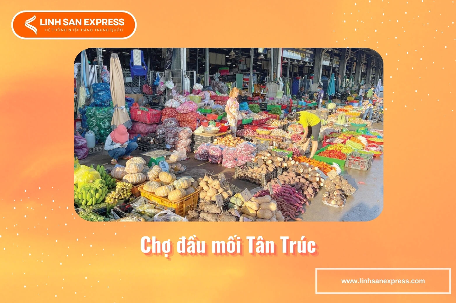 Chợ đầu mối Tân Trúc